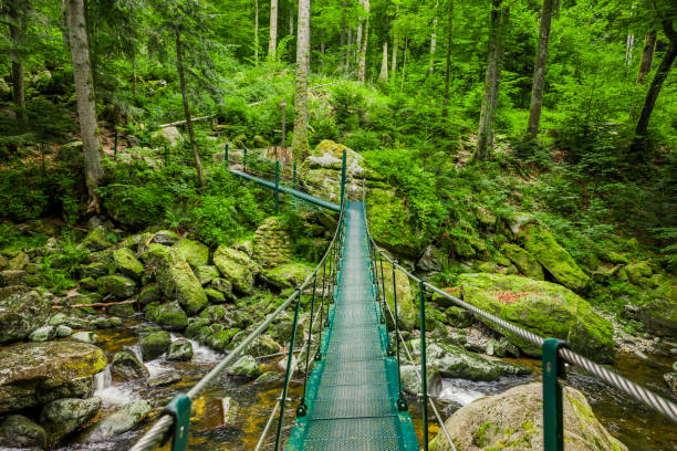 Suspension bridge in the Buchberger Leite in the Bavarian Forest stock photo