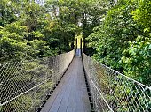istock Suspension Bridge in the Rainforest - Místico Arenal Hanging Bridges, Arenal Volcano National Park, Costa Rica 1357299177