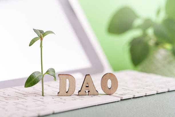 Sustainability DAO