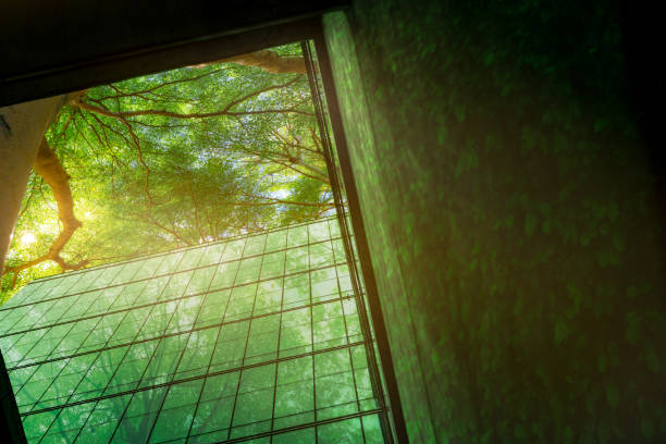 Sustainable business office building. Eco-friendly building in modern city. Green tree and sustainable glass building for reduce CO2. Office building and green environment. Healthy corporate. Go green stock photo