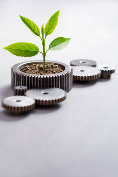Sustainable Development Metal gears with little plant on gray background with copy space. social responsibility stock pictures, royalty-free photos & images