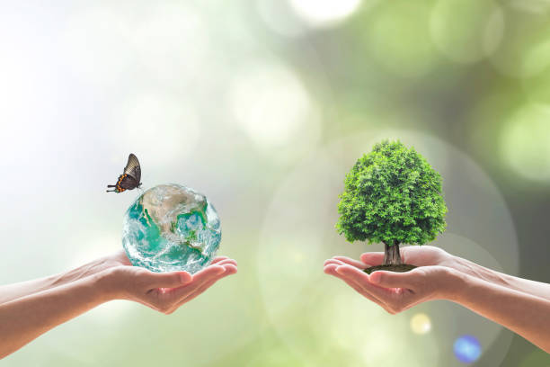 持続可能な環境とボランティアの手に緑の地球と植樹と省エネコンセプト。nasa が提供する画像の要素 - 自然美 ストックフォトと画像