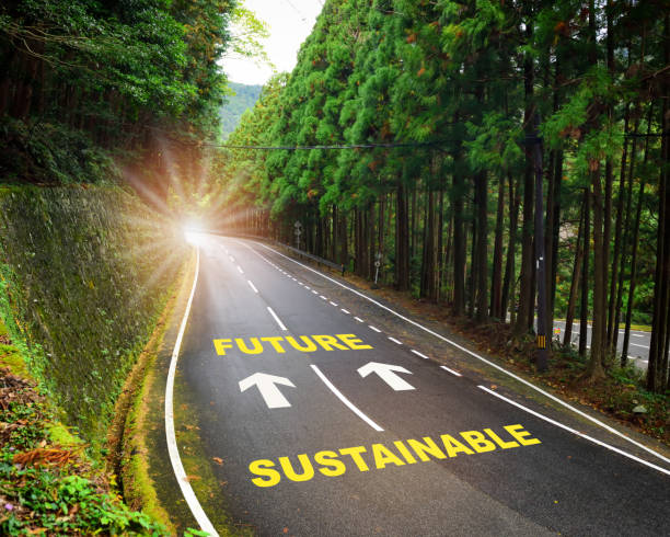 Sustainable future and arrow marking on highway road and white marking lines in the forest stock photo