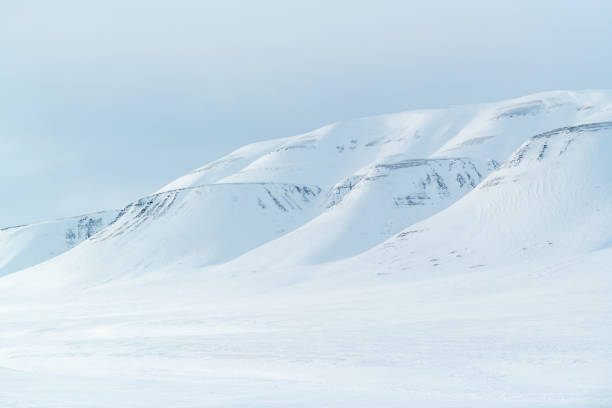 Svalbard in winter stock photo