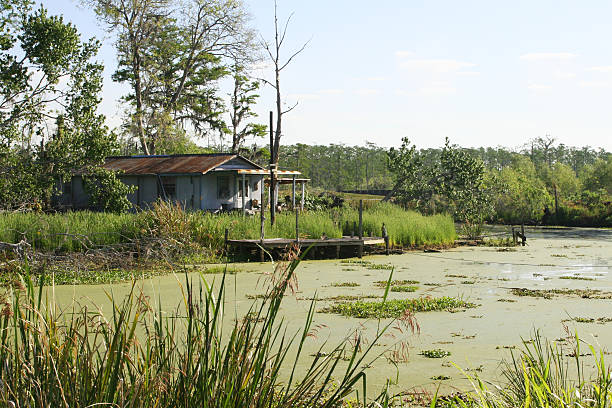 Mystic Marsh Swamp Shack 