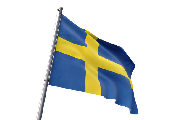 sverige flagga vajande isolerade vit bakgrund - swedish flag bildbanksfoton och bilder