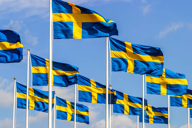 svenska flaggor på nationaldagen - swedish flag bildbanksfoton och bilder