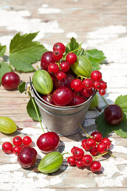 Sweet berries in the bucket stock photo
