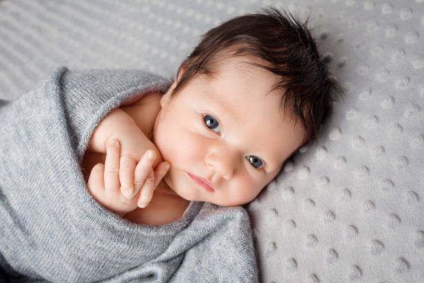 Sweet newborn baby attentively looking.  Newborn boy 2 weeks old  in the cocon lying on grey blanket. Close up image stock photo