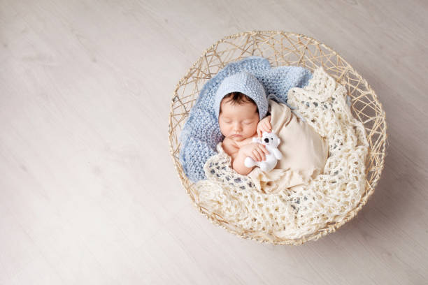 Sweet newborn baby sleeps in a basket. Beautiful newborn boy with bear toy. Copy space stock photo