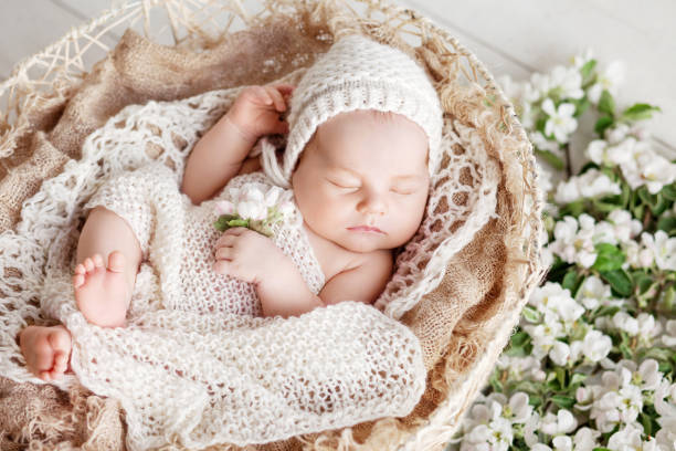 Sweet newborn baby sleeps in a basket. Beautiful newborn boy with flowers stock photo