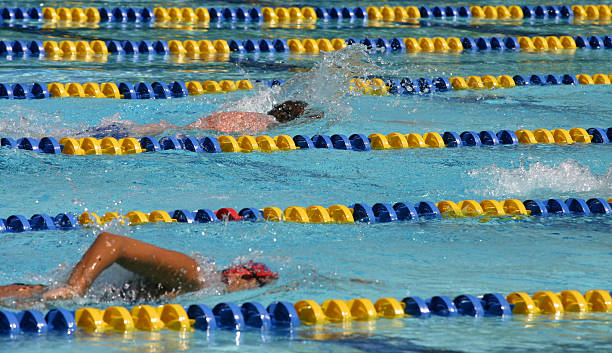 Swimming stock photo