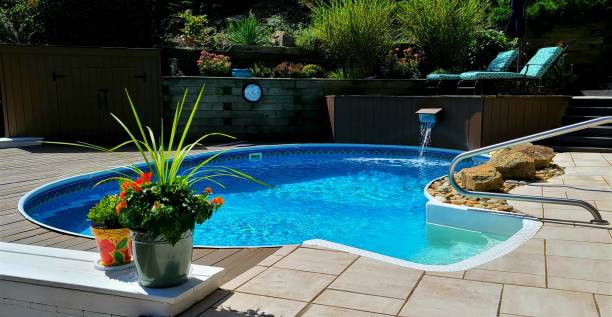 Swimming Pool with White Paver Patio and Lush Landscaping stock photo