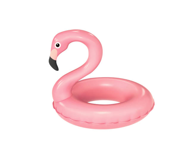 badring i form av rosa flamingo isolerad på vit - flotte bildbanksfoton och bilder
