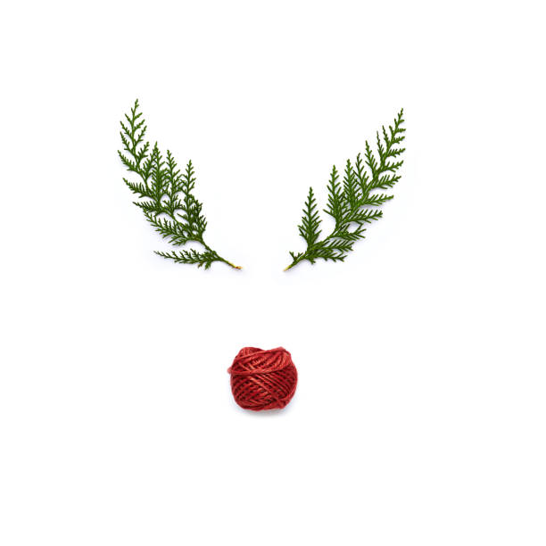 Symbolic reindeer face made with green twigs and red twine. White background. Christmas concept  rudolph the red nosed reindeer stock pictures, royalty-free photos & images