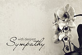 istock Sympathy card with orchid on grunge background 1336104531