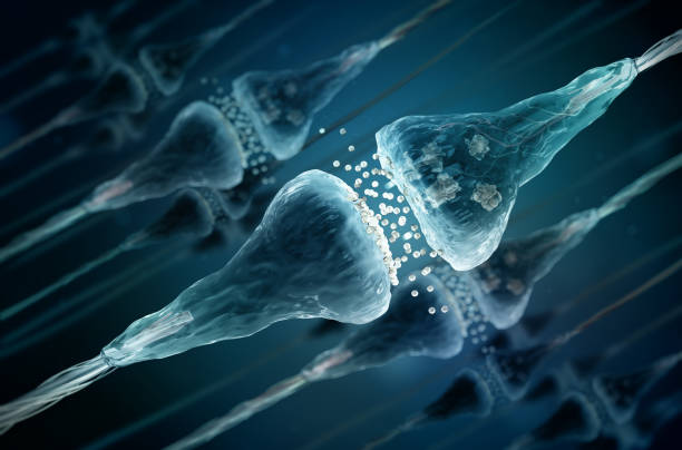 Synapse and Neuron cells sending electrical chemical signals stock photo