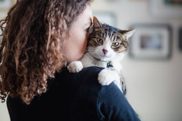 Tabby cat and a beautiful young woman domestic cat, one young woman only, animal themes, holding, tabby cat stock pictures, royalty-free photos & images