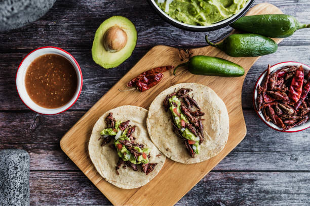 tacos de chapulines or grasshopper taco traditional in mexican food with homemade guacamole sauce in Oaxaca Mexico stock photo