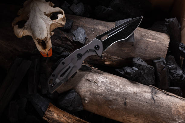 Tactical knife and animal skull. Beaver skull and knife. Tactical knife and animal skull. Beaver skull and knife. Top. bushcraft stock pictures, royalty-free photos & images
