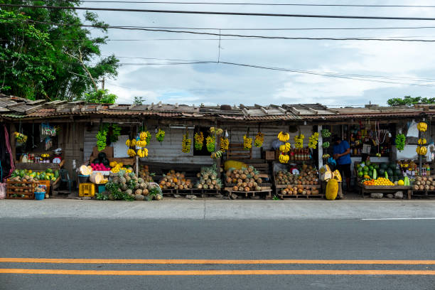 Tagaytay, Cavite, Philippines - A roadside shack selling fresh bananas, pineapples, jackfruit and other fruits along the highway. stock photo