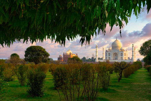 46 Mehtab Bagh Stock Photos, Pictures & Royalty-Free Images - iStock