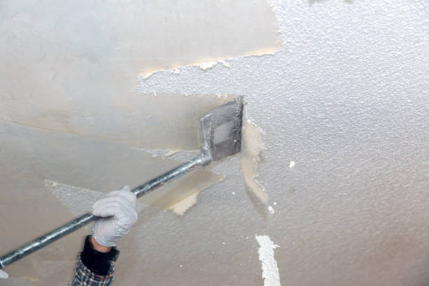 popcorn ceiling remover denver