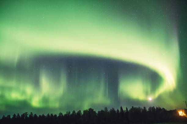 Taken by Northern lights storm This night was a magical one, with strong northern lights dancing on the sky boreal forest stock pictures, royalty-free photos & images