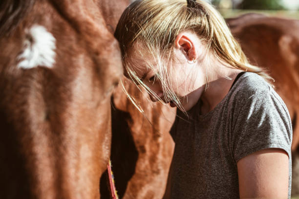 ta hand om hästen - clean saddle bildbanksfoton och bilder