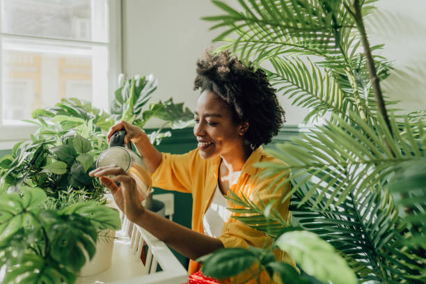 Taking care of my plants stock photo