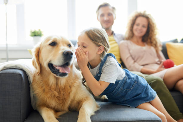 Talking to pet Little girl whispering something to her pet while relaxing on sofa on background of young couple whispering stock pictures, royalty-free photos & images