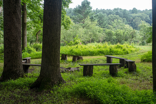no people in this image of a woodland nature retreat with a circle of benches around a fire pit under tall woodland treees. Serene meditation setting.