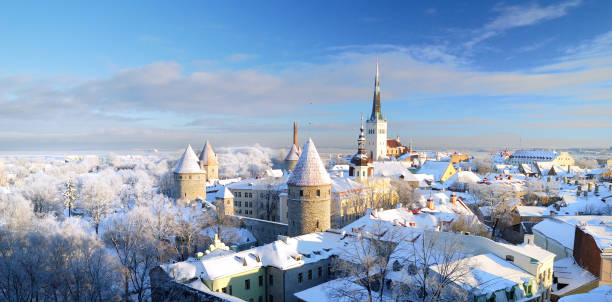 Tallinn city. Estonia. Snow on trees in winter stock photo