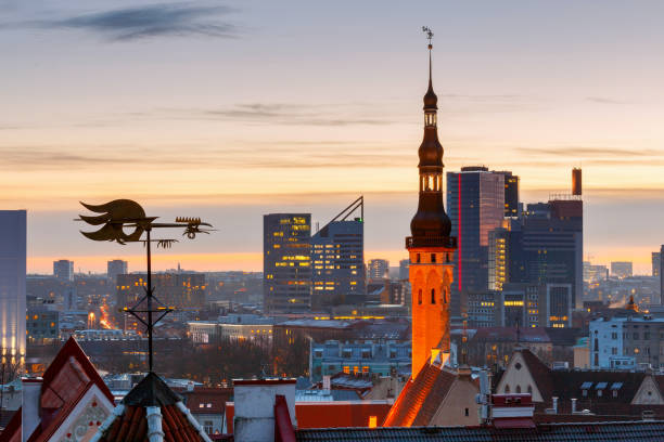 Tallinn. Old city at dawn. Weather vane in the form of a cock over an old city against a background of modern buildings at sunset. Tallinn. Estonia. estonia stock pictures, royalty-free photos & images
