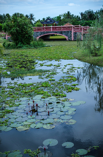 Taman Rekreasi Tasik Melati Perlis Malaysia Stockfoto und Taman Rekreasi Tasik Melati Perlis Malaysia Stockfoto und