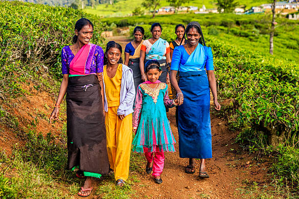 Tamil women walking with their children, Nuwara Eliya, Ceylon Tamil women walking with their children on a tea plantation. All ladies work on this tea plantattion, Nuwara Eliya, Ceylon.  Sri Lanka (Ceylon) is the world's fourth largest producer of tea and the industry is one of the country's main sources of foreign exchange and a significant source of income for laborers. sri lanka women stock pictures, royalty-free photos & images