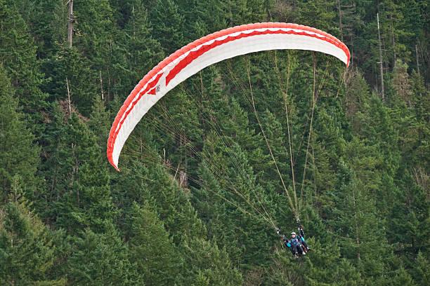 Tandem Paraglider Flying by the Trees Issaquah, Washington, USA - March 07, 2012: A young couple flies a tandem paraglider by a wooded hillside near the town of Issaquah. jeff goulden paragliding stock pictures, royalty-free photos & images
