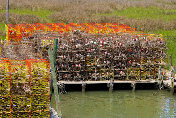Tangier Island, Virginia Tangier Island, Virginia / USA - June 21, 2020: Colorful stacked crab pots are stored along the marshes around this popular tourist destination in the Chesapeake Bay that exudes a quaint charm of a fishing village full of waterman and their boats throughout its waterways. tangier island stock pictures, royalty-free photos & images