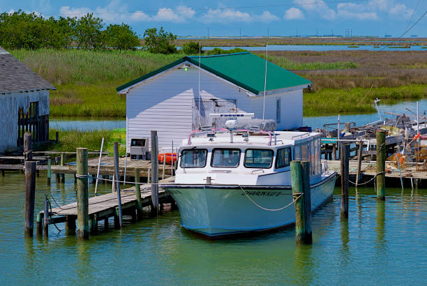 Tangier Island, Virginia Tangier Island, Virginia / USA - June 21, 2020: The “Sharon Kay III” is one of many boats used by watermen in this popular tourist destination in the Chesapeake Bay. tangier island stock pictures, royalty-free photos & images