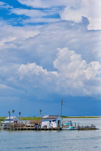 Tangier Island, Virginia Tangier Island, Virginia / USA - June 21, 2020: Billowing clouds rise above fishing shanties in this popular tourist destination in the Chesapeake Bay that exudes a quaint fishing village charm full of waterman and their boats, stacks of crab pots, and fishing shacks throughout its waterways. tangier island stock pictures, royalty-free photos & images
