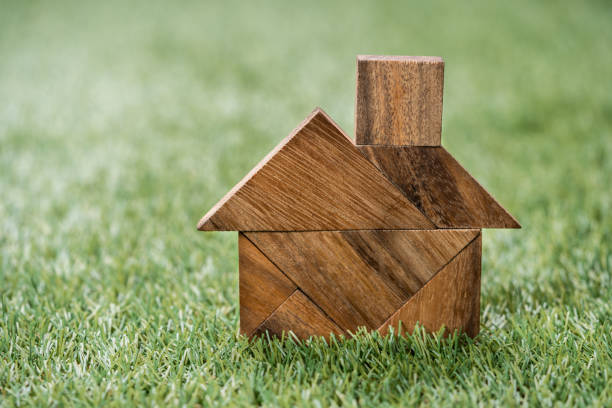 tangram puzzle in home shape on green grass background - tangram casa fotografías e imágenes de stock