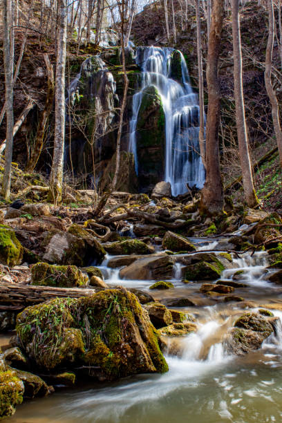 Photo of Tank Hollow Falls in Virginia