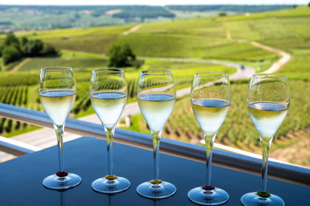 Tasting of brut and demi-sec white champagne sparkling wine from special flute glasses with Champagne vineyards on background, France stock photo