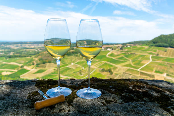 nếm thử rượu vang trắng hoặc jaune jura trên những vườn nho gần làng chateau-chalon ở vùng jura, pháp - arbois wine hình ảnh sẵn có, bức ảnh & hình ảnh trả phí bản quyền một lần