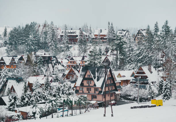 Tatra mountain landscape of zakopane with wooden cottages. Panoramic beautiful winter landscape view. Tatra mountain landscape of zakopane with wooden cottages. Panoramic beautiful winter inspirational landscape view. carpathian mountain range stock pictures, royalty-free photos & images