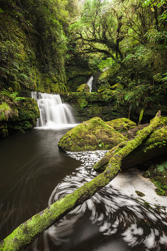 Tautuku River cascade, Catlins, Southland, New Zealand