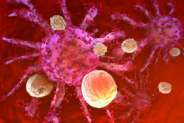 T-Cells of the immune System attacking growing Cancer cells 3D rendered Illustration of T-Cells of the immune System attacking growing Cancer cells. immunology stock pictures, royalty-free photos & images