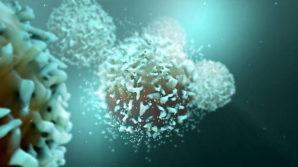 T-Cells 3d illustration T-Cells biological cell stock pictures, royalty-free photos & images