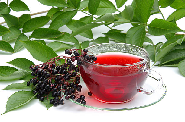 tea elder stock photo