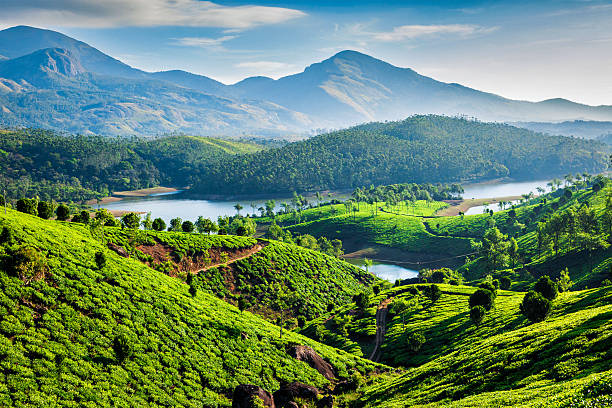 tea plantations and river in hills. kerala, india - india stockfoto's en -beelden